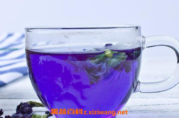 蝶豆花泡茶的功效与作用 蝶豆花泡茶的副作用