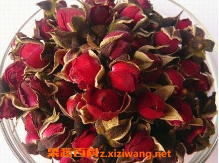金边玫瑰花的功效与作用