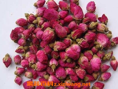 玫瑰花的功效与禁忌