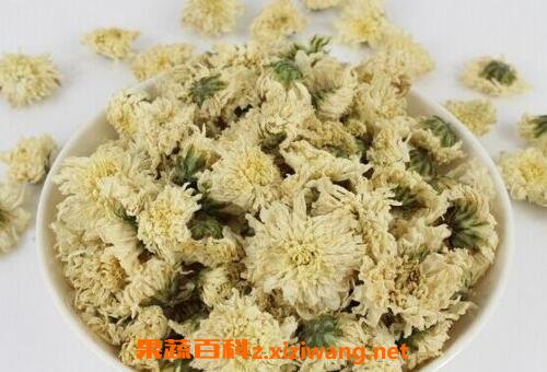 菊花的作用与功效有哪些 菊花的药用价值