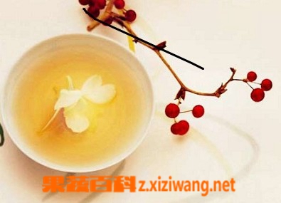 冬季花的功效与作用