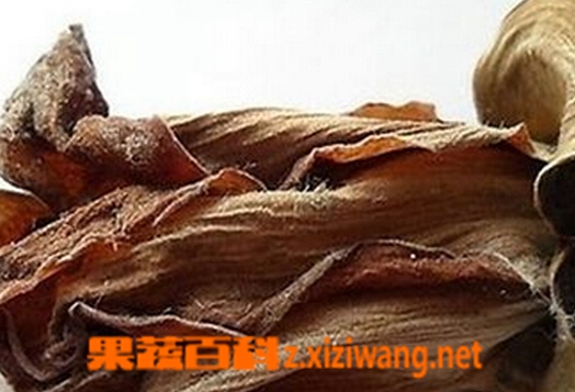 木棉根的功效与作用