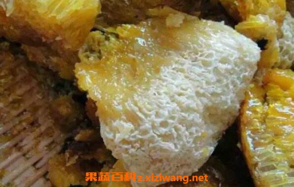 岩蜂蜜和土蜂蜜的区别 土蜂蜜的功效