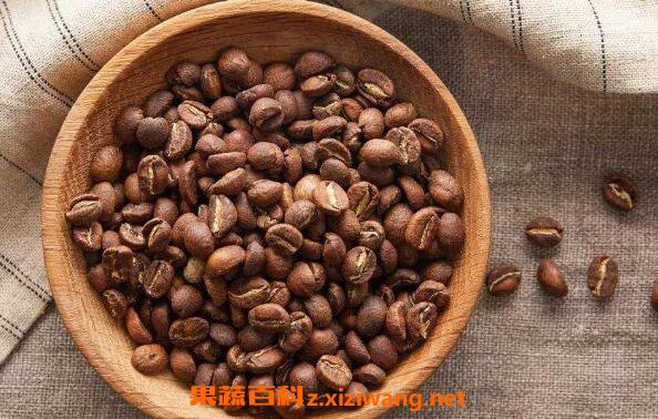 咖啡豆和咖啡粉的区别 咖啡豆怎么挑选