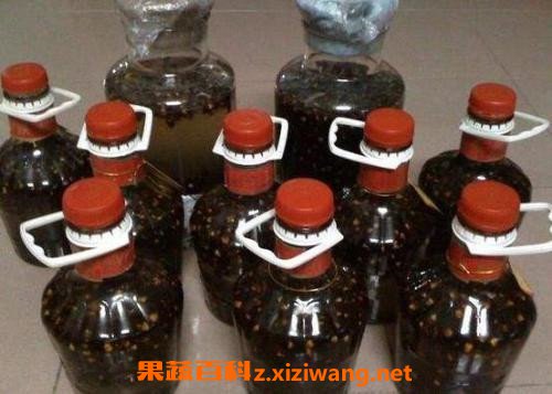 黄蜂泡酒的功效与作用 黄蜂泡酒有什么功效
