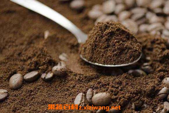 咖啡粉怎么喝 咖啡粉可以直接冲泡吗