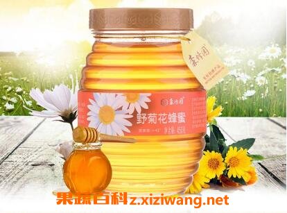 野菊花蜂蜜孕妇能喝吗 野菊花加蜂蜜的功效