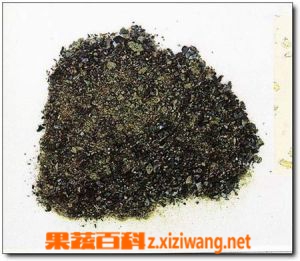 熊胆粉保质期问题介绍