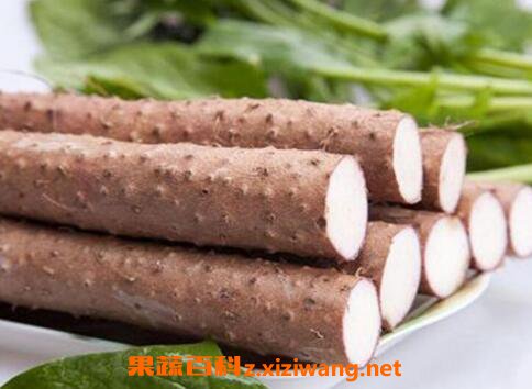 胃不好吃什么养胃 适合胃不好的人吃的食物