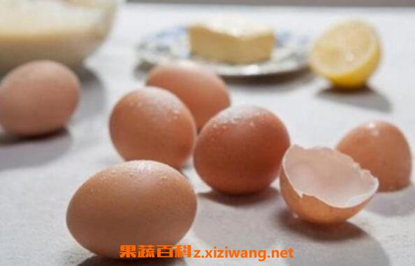 鸡蛋壳粉的功效与作用及药用价值