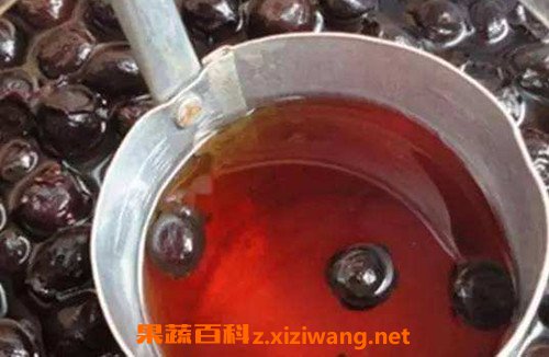 捻子酒的功效与作用 喝捻子酒的好处