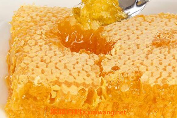蜂巢怎么吃 蜂巢蜜的正确吃法及最佳时间