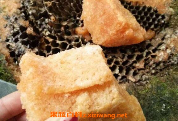 岩蜜怎么吃 岩蜜的食用方法有哪些