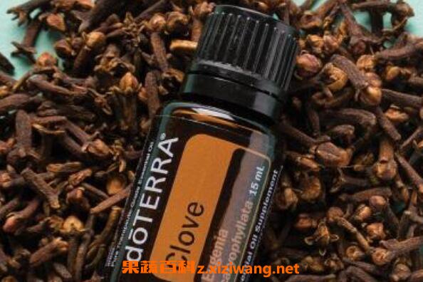 丁香精油的功效与作用 丁香精油的药用价值