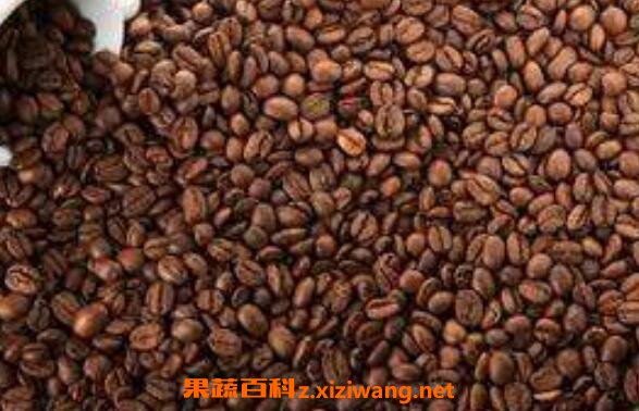 咖啡豆怎么吃 咖啡豆的正确吃法