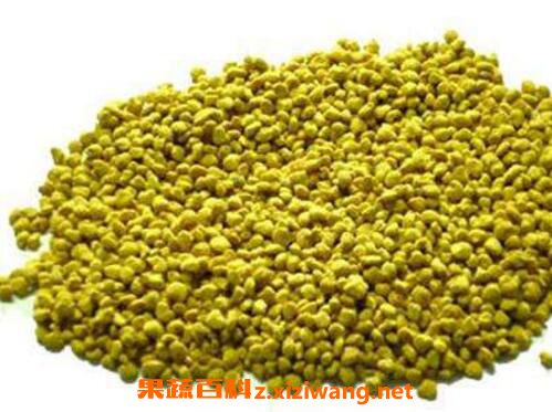 油菜花粉的功效与作用及食用方法