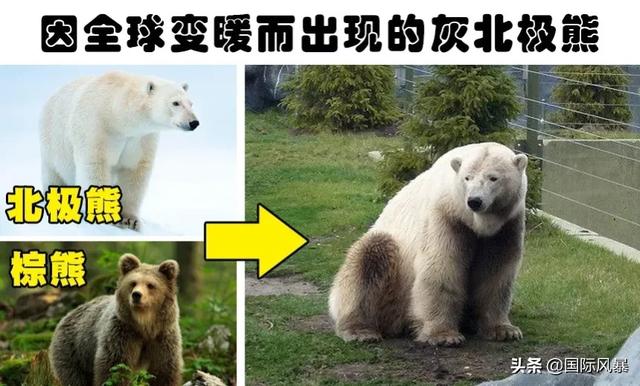 人类是不是和所有生物之间都有生殖隔离？这意味着什么？
