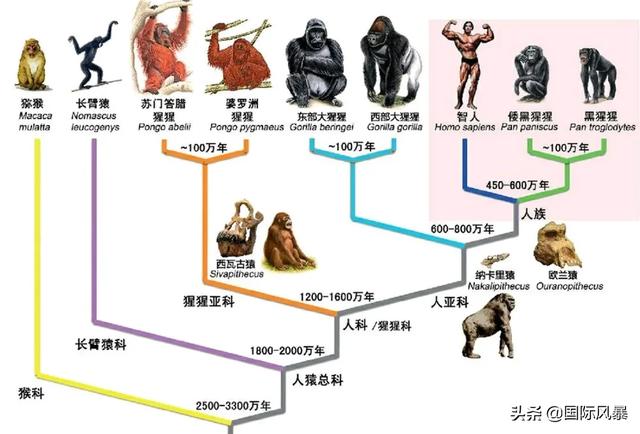 人类是不是和所有生物之间都有生殖隔离？这意味着什么？