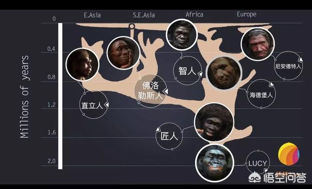 人类是不是和所有生物之间都有生殖隔离？这意味着什么？