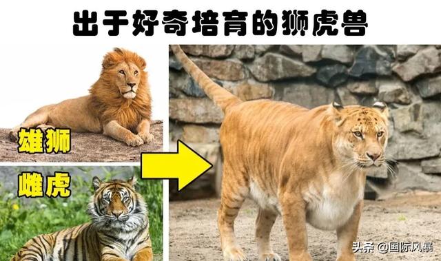 人类是不是和所有生物之间都有生殖隔离？这意味着什么？