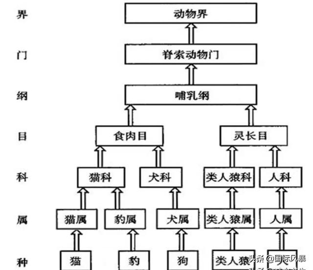 人类是不是和所有生物之间都有生殖隔离？这意味着什么？