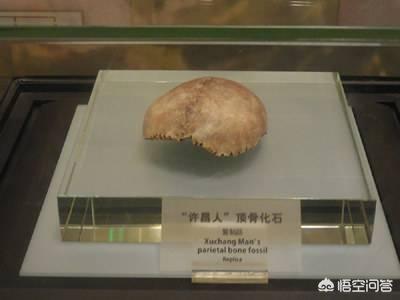 人类是不是和所有生物之间都有生殖隔离？这意味着什么？