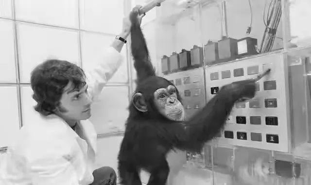 人类是不是和所有生物之间都有生殖隔离？这意味着什么？
