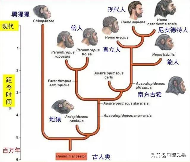 人类是不是和所有生物之间都有生殖隔离？这意味着什么？