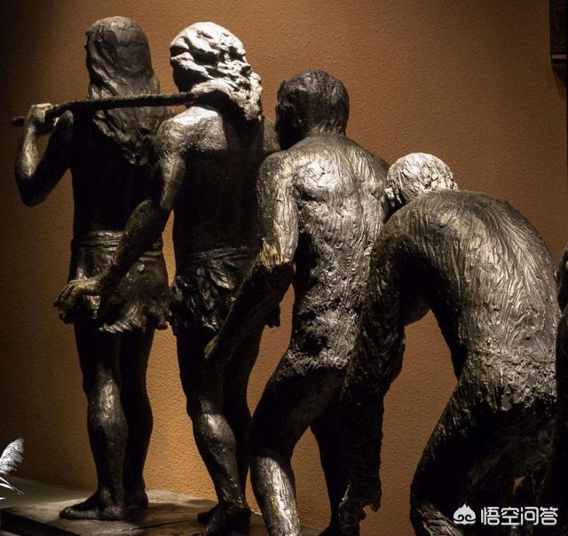 人类是不是和所有生物之间都有生殖隔离？这意味着什么？