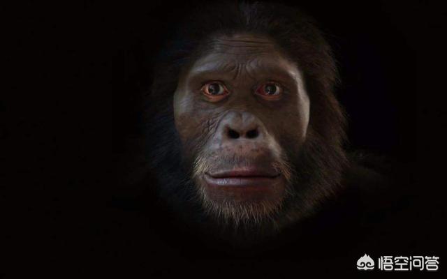 人类是不是和所有生物之间都有生殖隔离？这意味着什么？