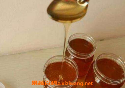 枣花蜜如何使用 枣花蜜的喝法