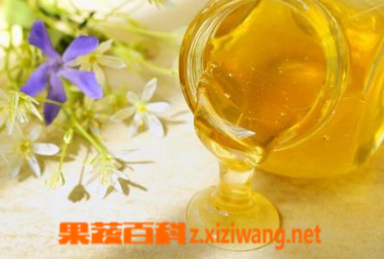 洋槐花蜜的功效与作用