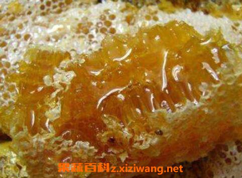 土蜂蜜和洋槐蜜哪个好