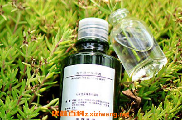 洋甘菊纯露的功效及作用 洋甘菊纯露的用途