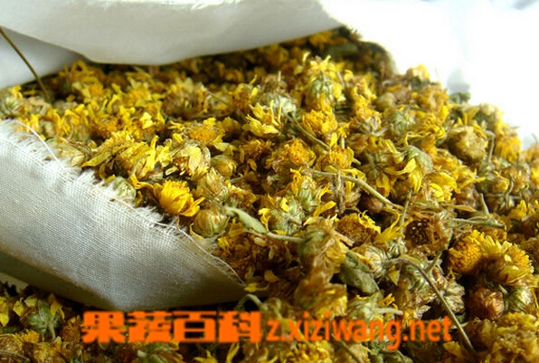 野菊花枕头的功效与作用 野菊花枕头怎么做