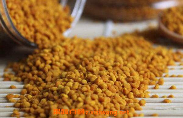 花粉怎么吃 花粉的正确食用方法