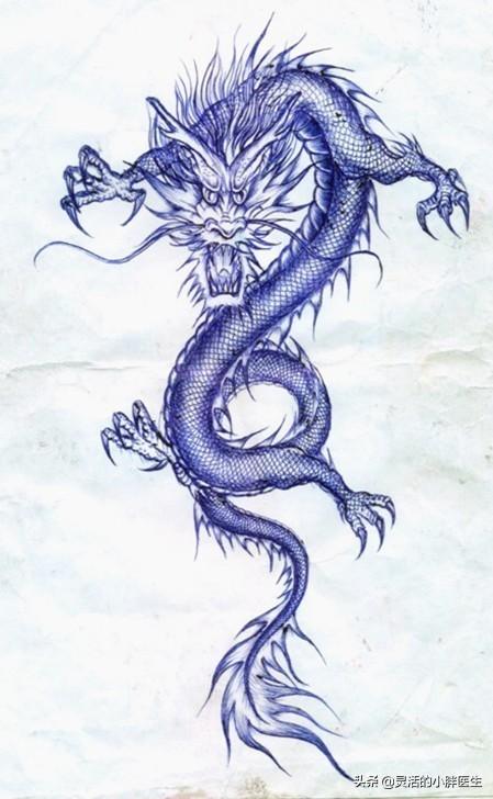 龙会不会在深海里,所以现在还没人发现?