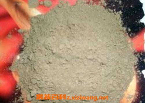 党参花粉的功效与作用