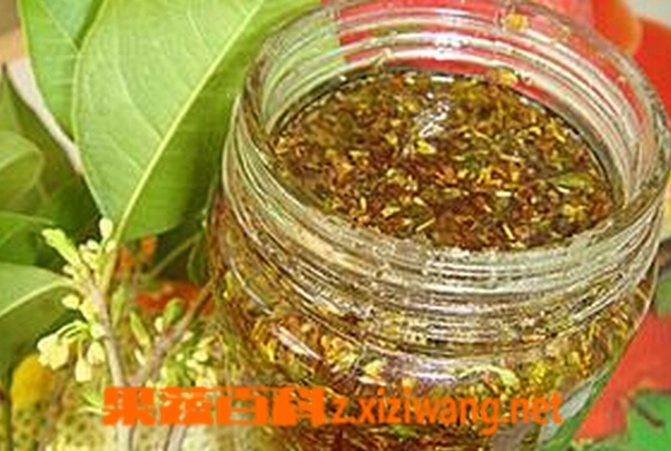 桂花蜜如何做 桂花蜜的做法大全