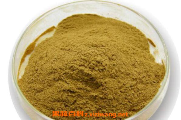 佛手粉的功效与作用 吃佛手粉的好处有哪些