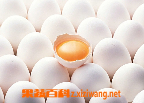 鸡蛋的保质期是多久