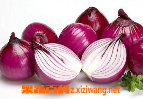 感冒吃什么好得快 能治疗感冒的食物介绍