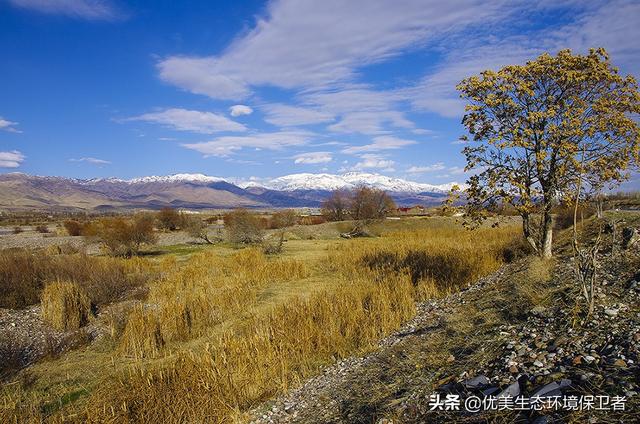 为证明时间不存在，科学家让一女性在洞穴中住130天，结果怎样？