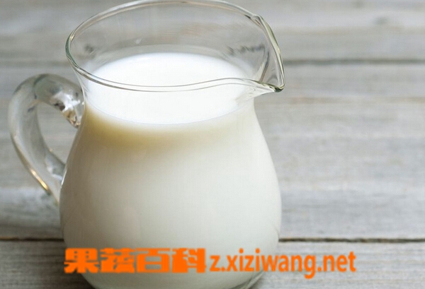 喝牛奶的禁忌 早晚喝牛奶功效各不同