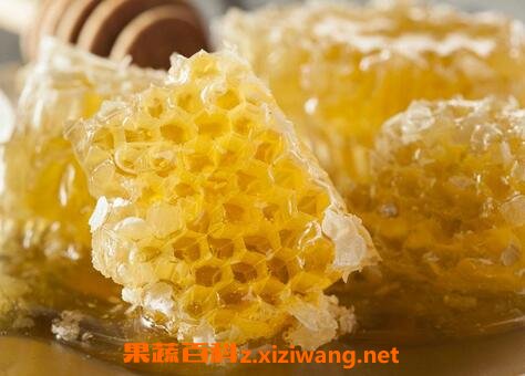 风糖的作用与功效