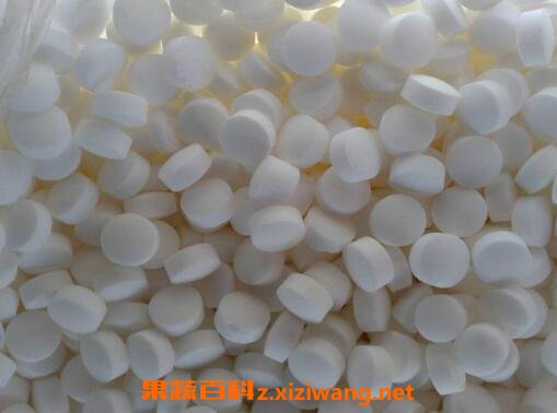 什么是鱼盐 鱼盐的作用与功效