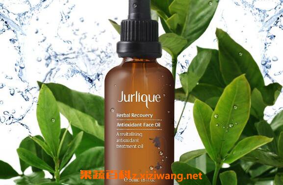 侧柏精油的功效与作用 侧柏精油的用途有哪些