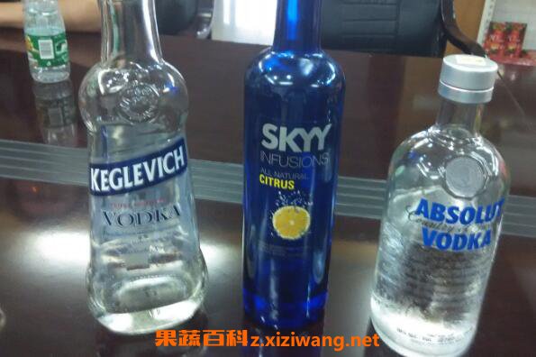 伏特加怎么喝才好喝 伏特加的正确喝法