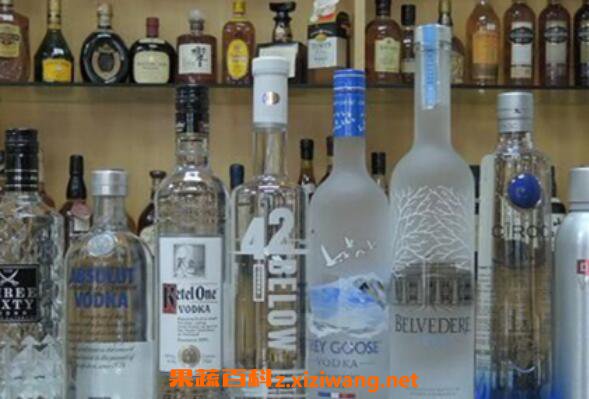 伏特加怎么喝才好喝 伏特加的正确喝法