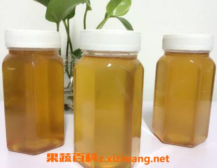 枇杷蜜的功效与作用